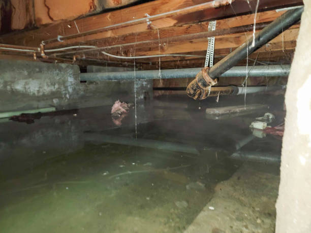 Best Residential water damage restoration  in Norwalk, OH