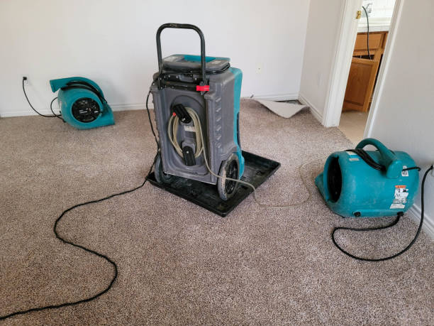 Best 24-hour water damage restoration  in Norwalk, OH