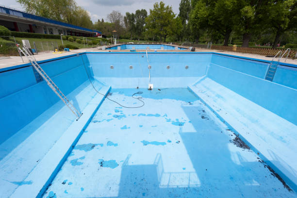 Best Water damage contractors near me  in Norwalk, OH