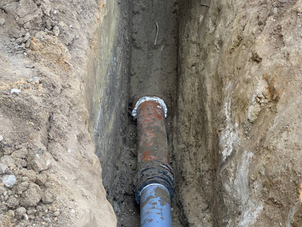 Best Sewage cleanup and water damage restoration  in Norwalk, OH
