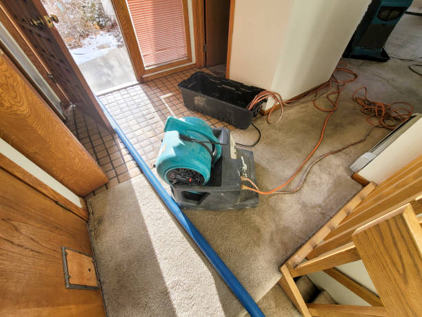 Best Water damage restoration near me  in Norwalk, OH