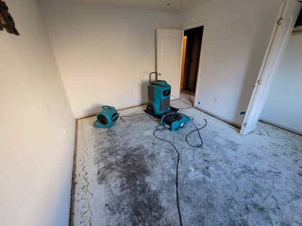 Local water damage restoration in Norwalk, OH