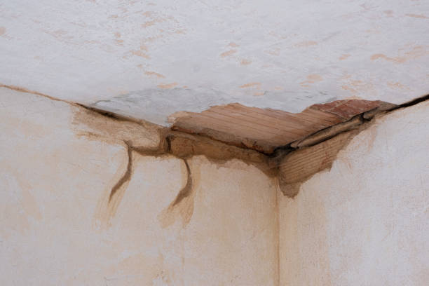 Best 24/7 water damage repair  in Norwalk, OH