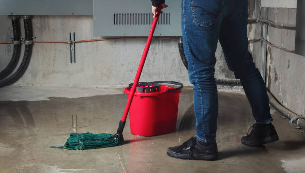 Best Flood restoration services  in Norwalk, OH