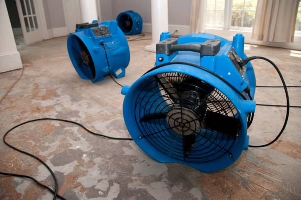 Best Flooded house restoration  in Norwalk, OH