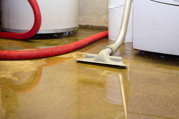 Best Carpet water damage restoration  in Norwalk, OH
