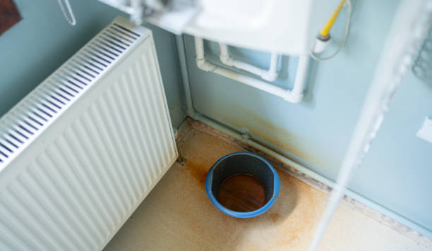 Best Emergency water extraction  in Norwalk, OH