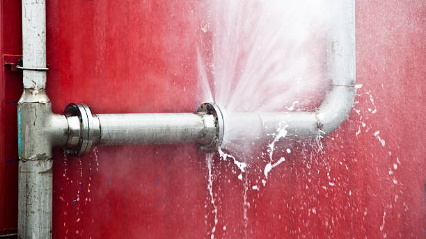 Best Local water damage restoration  in Norwalk, OH