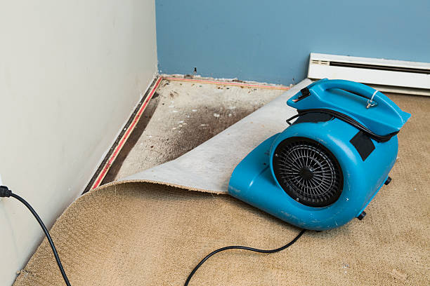 Carpet water damage restoration in Norwalk, OH